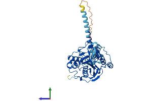 AlphaFold protein structure predicition of Mouse Recombinant B4galt6 Protein, UniprotID Q9WVK5