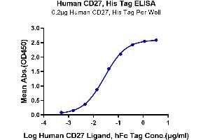 Immobilized Human CD27, His Tag at 2 μg/mL (100 μL/Well).