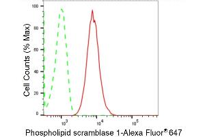 Flow cytometric analysis of Phospholipid scramblase 1 expression in HT- cells using Phospholipid scramblase 1 antibody (ABIN7799825), 1:2,000). (Recombinant PLSCR1 抗体)