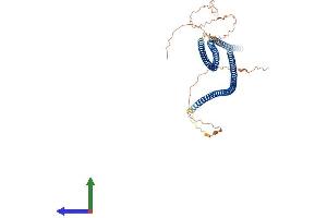 AlphaFold protein structure predicition of Human Recombinant KRT82 Protein, UniprotID Q9NSB4