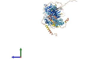 Protein Structure (PS) image for Myosin XIX (MYO19) (AA 1-970) protein (His tag) (ABIN7554656)
