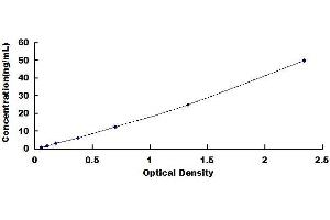Typical standard curve (ACE2 ELISA 试剂盒)