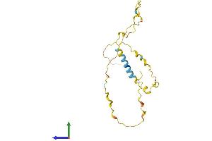 AlphaFold protein structure predicition of Human Recombinant C19orf84 Protein, UniprotID I3L1E1 (C19orf84 Protein (AA 1-186) (His tag))