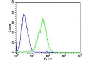 Flow cytometric analysis of HepG2 cells using Dlk1 antibody (green) compared to an isotype control of mouse IgG2b (blue) (DLK1 抗体  (C-Term))