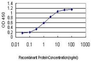 Detection limit for recombinant GST tagged ING1 is approximately 0. (ING1 抗体  (AA 41-140))