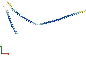 AlphaFold protein structure predicition of Human Recombinant SIKE1 Protein, UniprotID Q9BRV8