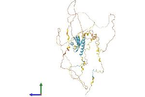 AlphaFold protein structure predicition of Human Recombinant EIF4B Protein, UniprotID P23588