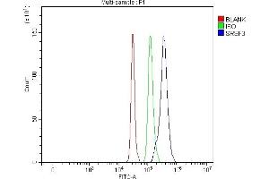 Flow Cytometry analysis of SH-SY5Y cells using anti-SFRS3 antibody (ABIN3043298).