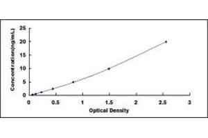 Typical standard curve (MELK ELISA 试剂盒)