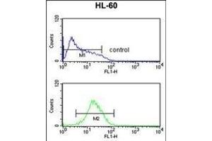 Flow Cytometry (FACS) image for anti-Nuclear Receptor Subfamily 1, Group I, Member 2 (NR1I2) (AA 100-127) antibody (ABIN652618)