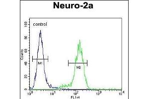 VWA3B Antibody (C-term) (ABIN654263 and ABIN2844080) flow cytometric analysis of Neuro-2a cells (right histogram) compared to a negative control cell (left histogram). (VWA3B 抗体  (C-Term))