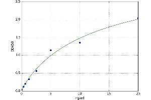Major Histocompatibility Complex Class I C (HLA-C) ELISA Kit