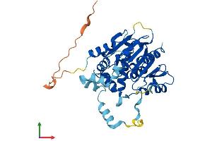 AlphaFold protein structure predicition of Mouse Recombinant Abhd5 Protein, UniprotID Q9DBL9