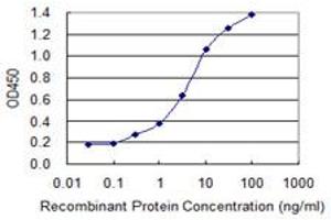 Detection limit for recombinant GST tagged ZNF287 is 0. (ZNF287 抗体  (AA 231-330))