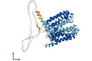 Protein Structure (PS) image for Solute Carrier Family 16 (Monocarboxylic Acid Transporters), Member 4 (SLC16A4) (AA 1-487) protein (His tag) (ABIN7549427)