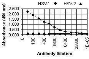 ELISA image for anti-Herpes Simplex Virus Type 1 ICP4 (HSV1 ICP4) antibody (ABIN265556) (HSV1 ICP4 抗体)
