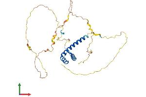 Protein Structure (PS) image for Caudal Type Homeobox 2 (CDX2) (AA 1-311) protein (His tag) (ABIN7563258)