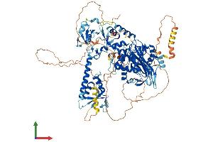 Protein Structure (PS) image for Ubiquitin Specific Peptidase 20 (USP20) (AA 1-914) protein (His tag) (ABIN7555907)