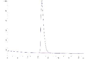 The purity of Human SLAMF7 is greater than 95 % as determined by SEC-HPLC.