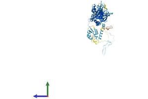Protein Structure (PS) image for EF-Hand Domain (C-terminal) Containing 1 (EFHC1) (AA 1-640) protein (His tag) (ABIN7547290)