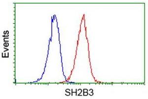 Image no. 1 for anti-SH2B Adaptor Protein 3 (SH2B3) antibody (ABIN1500908) (SH2B3 抗体)