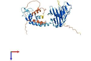 AlphaFold protein structure predicition of Human Recombinant RFPL2 Protein, UniprotID O75678