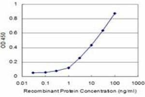 Detection limit for recombinant GST tagged PRKCD is approximately 1ng/ml as a capture antibody. (PKC delta 抗体  (AA 577-676))