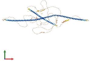 AlphaFold protein structure predicition of Mouse Recombinant Lzts3 Protein, UniprotID A2AHG0