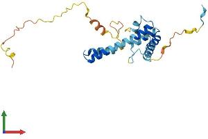 Protein Structure (PS) image for Melanoregulin (MREG) (AA 1-214) protein (His tag) (ABIN7557960)