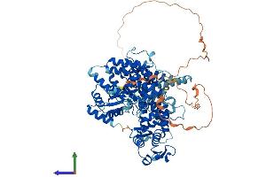 AlphaFold protein structure predicition of Human Recombinant HECTD2 Protein, UniprotID Q5U5R9 (HECTD2 Protein (AA 1-776) (His tag))