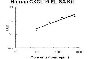 Human CXCL16 EZ Set ELISA Kit standard curve (人 CXCL16 EZ Set™ ELISA Kit (DIY Antibody Pairs))