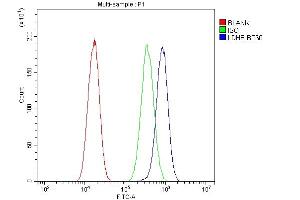 Flow Cytometry analysis of A549 cells using anti-LDHB antibody (ABIN4886658). (LDHB 抗体  (AA 237-334))
