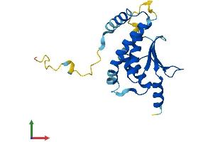 Protein Structure (PS) image for Trafficking Protein Particle Complex 5 (TRAPPC5) (AA 1-188) protein (His tag) (ABIN7544766)