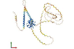 Protein Structure (PS) image for Macrophage Receptor with Collagenous Structure (MARCO) (AA 1-520) protein (His tag) (ABIN7549320)