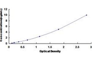 Activity-Regulated Cytoskeleton-Associated Protein (Arc) ELISA Kit