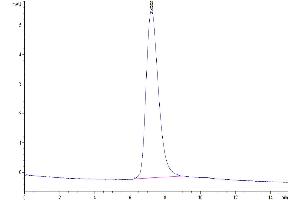 Size-exclusion chromatography-High Pressure Liquid Chromatography (SEC-HPLC) image for Tumor Necrosis Factor Receptor Superfamily, Member 10d, Decoy with Truncated Death Domain (TNFRSF10D) protein (His-Avi Tag,Biotin) (ABIN7275782)