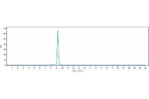 anti-Cathepsin S (CTSS) antibody