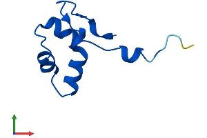 Protein Structure (PS) image for Polymerase (RNA) II (DNA Directed) Polypeptide L, 7.6kDa (POLR2L) (AA 1-67) protein (Fc Tag) (ABIN7556623)