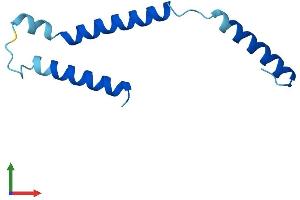AlphaFold protein structure predicition of Mouse Recombinant Dpm3 Protein, UniprotID Q9D1Q4
