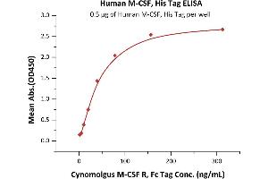 ELISA image for Colony Stimulating Factor 1 (Macrophage) (CSF1) (AA 33-255) (Active) protein (His tag) (ABIN6253718)