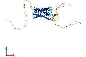 Protein Structure (PS) image for Opsin 4 (OPN4) (AA 1-478) protein (His tag) (ABIN7550501)