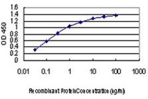 Detection limit for recombinant GST tagged MAPK6 is approximately 0. (MAPK6 抗体  (AA 612-721))