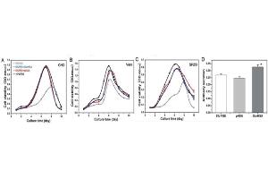 Performance of OsrHSA in promoting cell growth and antibody production: The promotion of cell growth was comparable to that of CHO cells on 10% FBS. (HSA 蛋白)