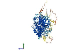Protein Structure (PS) image for Phospholipase A2, Group IVA (Cytosolic, Calcium-Dependent) (PLA2G4A) (AA 1-748) protein (His tag) (ABIN7563287)