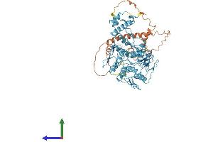 AlphaFold protein structure predicition of Human Recombinant ZNF728 Protein, UniprotID P0DKX0