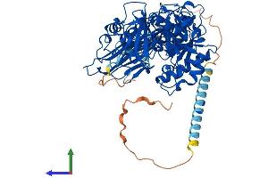 Protein Structure (PS) image for Protein O-Linked Mannose Beta1,2-N-Acetylglucosaminyltransferase (POMGNT1) (AA 1-660) protein (His tag) (ABIN7560076)