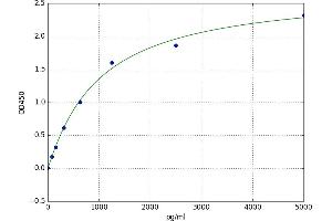 Lymphocyte-Activation Gene 3 (LAG3) ELISA Kit
