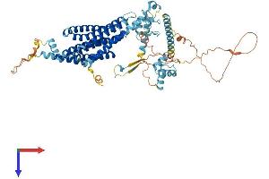 AMFR Protein (AA 1-643) (His tag)