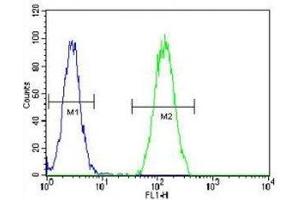 BMP2 antibody flow cytometric analysis of HeLa cells (green) compared to a negative control (blue). (BMP2 抗体  (AA 260-289))