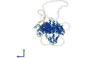 Protein Structure (PS) image for PDS5, Regulator of Cohesion Maintenance, Homolog A (PDS5A) (AA 1-1337) protein (His tag) (ABIN7554897)